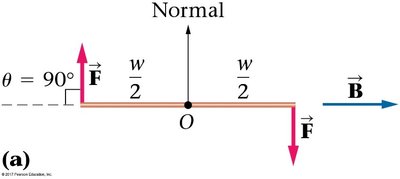 Torque on a current loop, top view