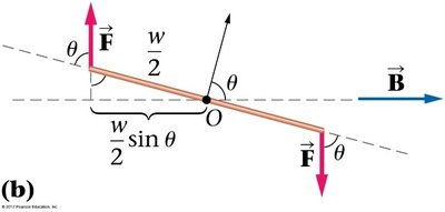 Loop rotating to align with magnetic field