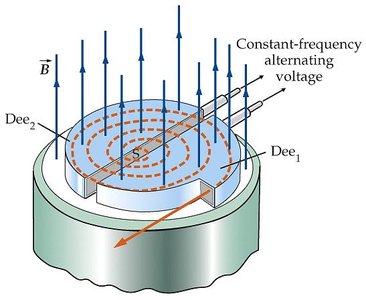Diagram of a cyclotron showing Dees and magnetic field