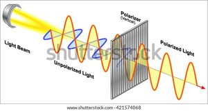 Unpolarized and polarized light
