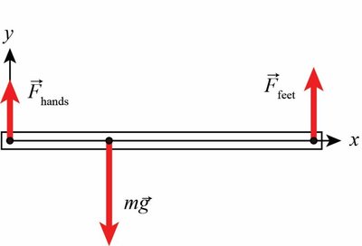 Free-body diagram for push-up analysis