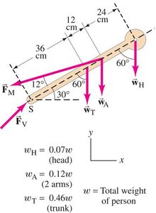 Free-body diagram for lumbar vertebra torque calculation