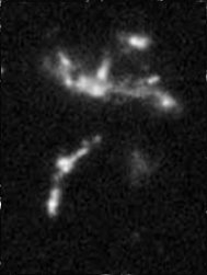 Elliptical galaxy