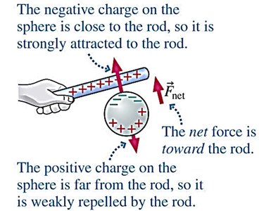 Net force on a polarized sphere due to a charged rod