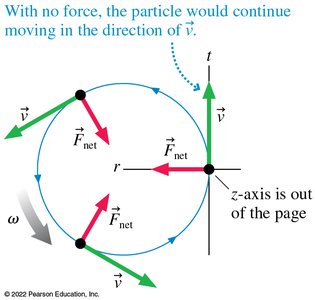 Net force in uniform circular motion points toward the center