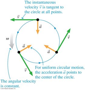 Uniform circular motion: velocity tangent, acceleration radial