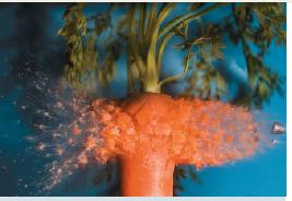 Bullet hitting a carrot