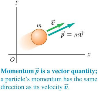 Momentum as a vector quantity