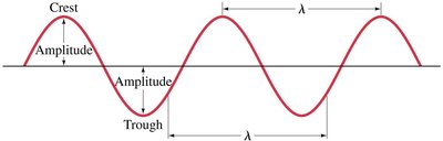 Diagram showing amplitude, wavelength, crest, and trough of a wave