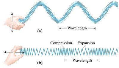 Transverse and longitudinal waves illustrated with a slinky