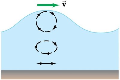 Surface wave showing circular particle motion at the water surface