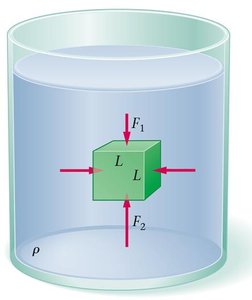 Cube submerged in fluid showing forces