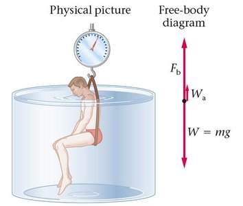 Person submerged in water, buoyant force diagram