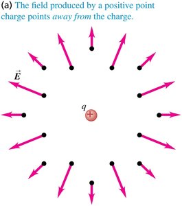 Electric field lines for a positive point charge
