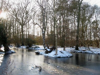 Frozen pond with ice on the surface