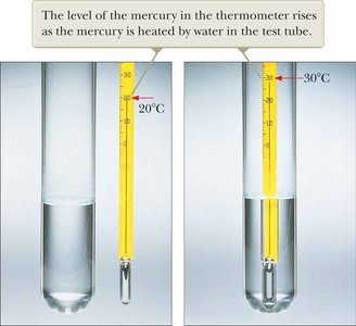 Mercury thermometer showing temperature rise
