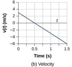 Velocity vs. time graph for free fall