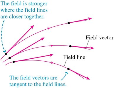 Field lines and field vectors