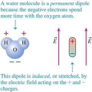 Water molecule as a permanent dipole