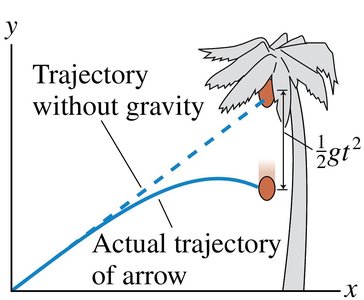 Arrow and coconut: gravity's effect