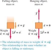 Relationship of mass to weight