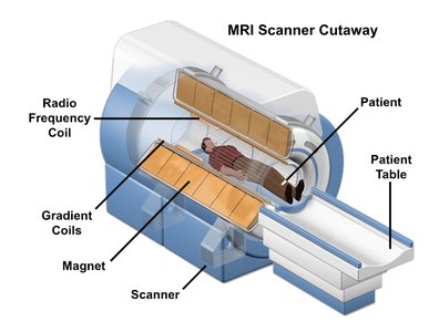 MRI scanner cutaway showing solenoid coil
