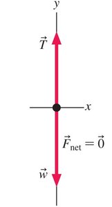 Free-body diagram for orangutan