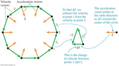 Velocity and acceleration vectors in circular motion