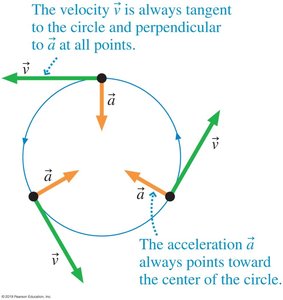 Velocity tangent and acceleration radial in circular motion