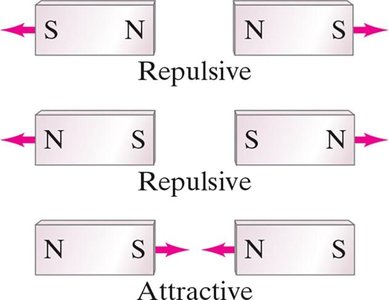 Magnetic poles and their interactions