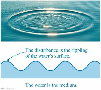 Ripples on water surface illustrating a mechanical wave