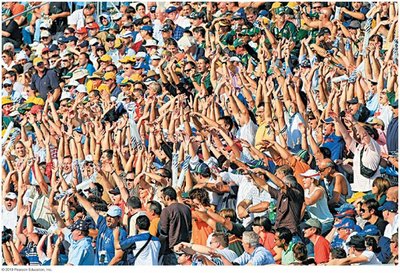 Spectators performing The Wave at a stadium