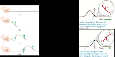Wave pulse and continuous wave on a string