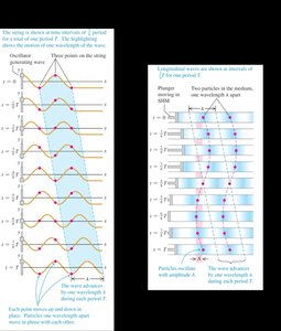 Wave motion diagrams for transverse and longitudinal waves