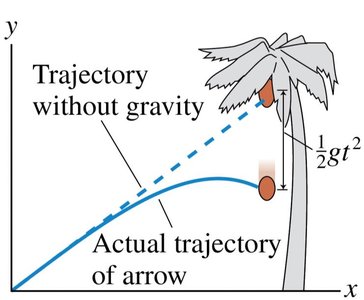 Arrow and coconut: both fall the same vertical distance