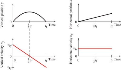 Graphs of projectile motion: position and velocity vs. time
