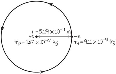 Bohr model of hydrogen atom for force comparison