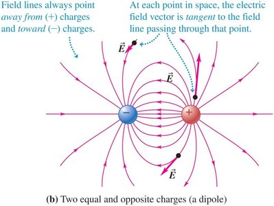 Electric field lines for two positive charges
