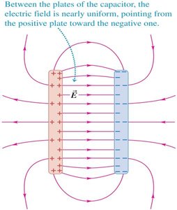 Direction of electric field along a field line