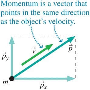 Momentum as a vector