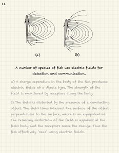 Electric fields used by fish for detection