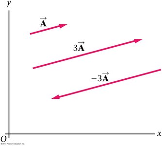 Unit vectors x and y