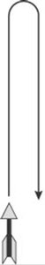 Arrow trajectory for vertical launch and fall
