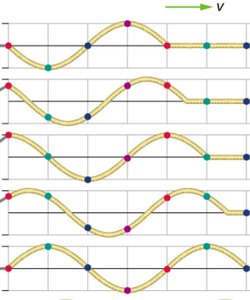 Standing waves on a string with nodes and antinodes