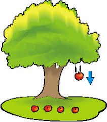 apple falling from tree