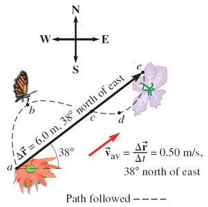 Butterfly displacement and velocity