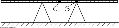 Weight and center of gravity