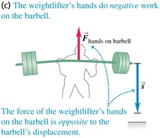 Hands do negative work on barbell