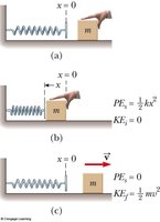 Spring-mass system showing energy conversion