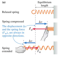Spring force and displacement diagram
